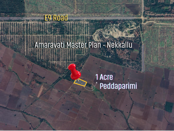 Peddaparimi Lands For Sale
