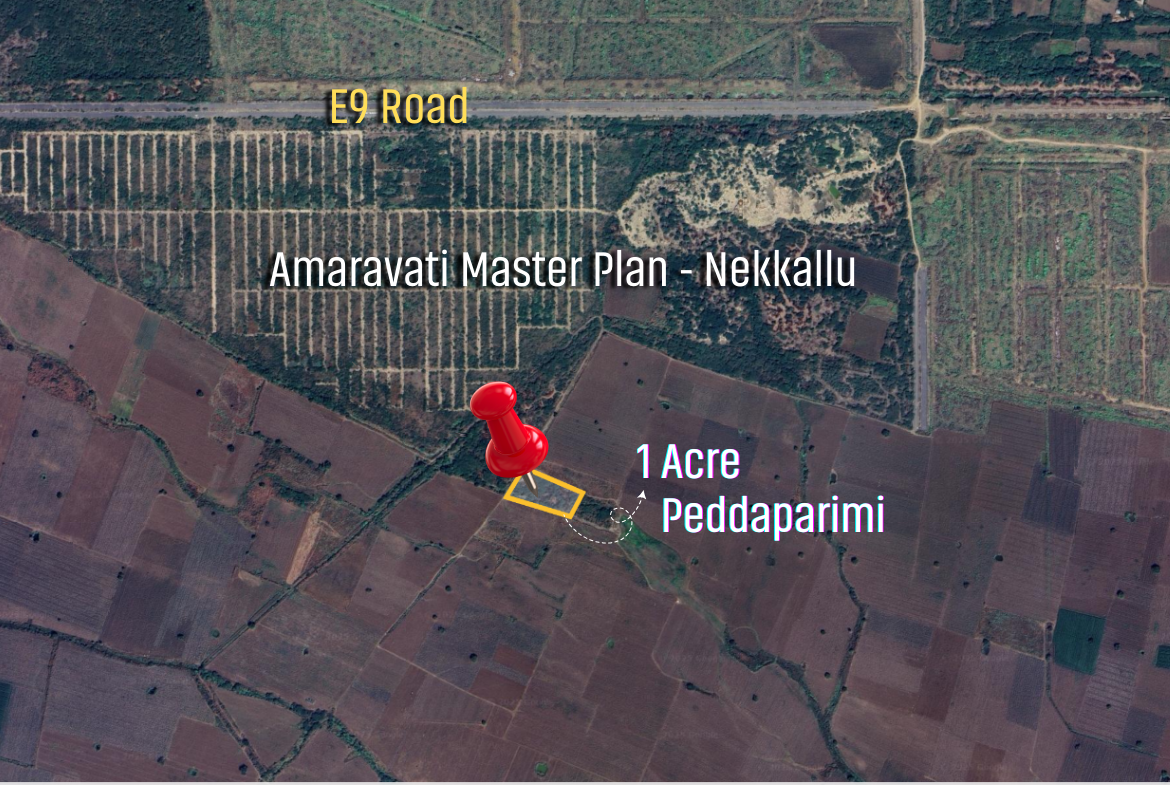 Peddaparimi Lands For Sale